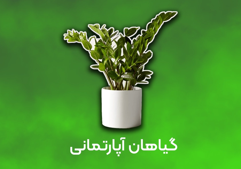 هدر گیاهان آپارتمانی